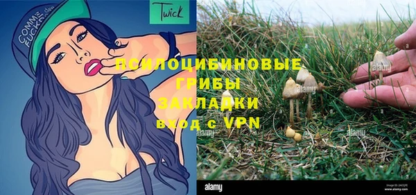 дживик Новодвинск
