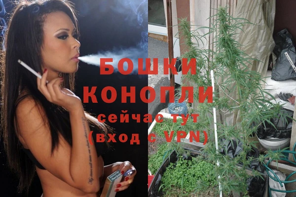 дживик Новодвинск