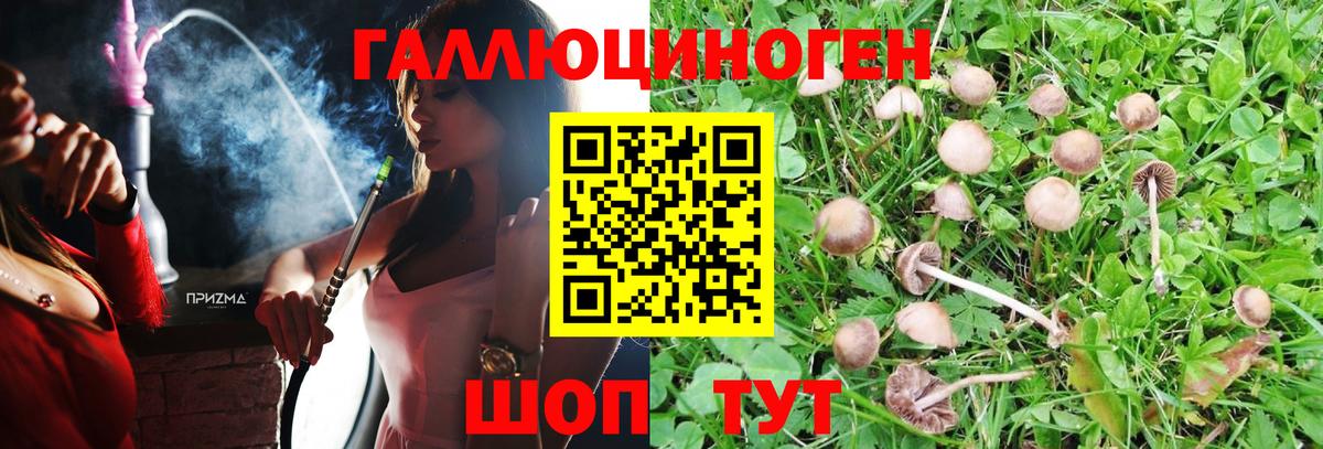 Галлюциногенные грибы мицелий Тавда