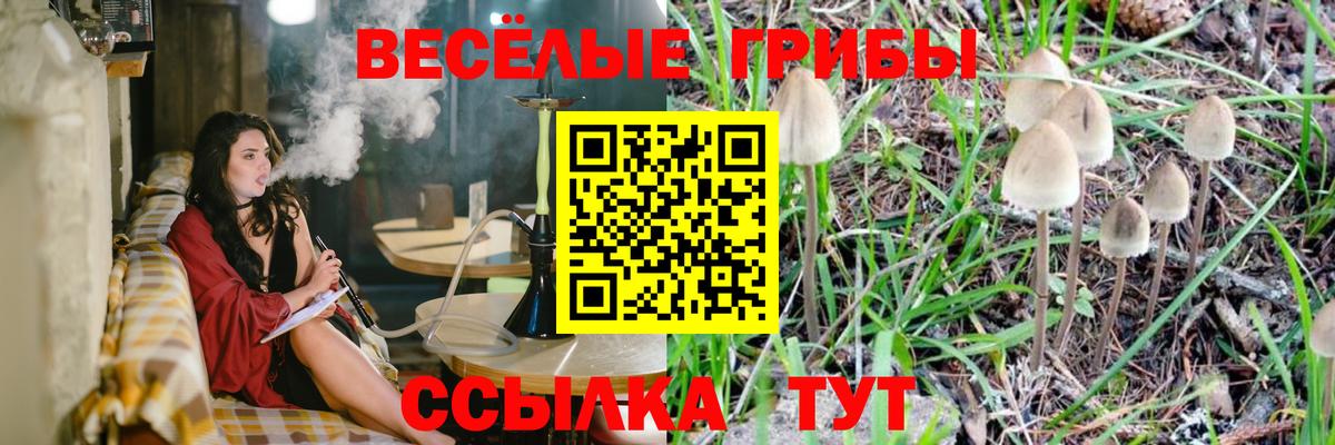 Галлюциногенные грибы ЛСД Тавда