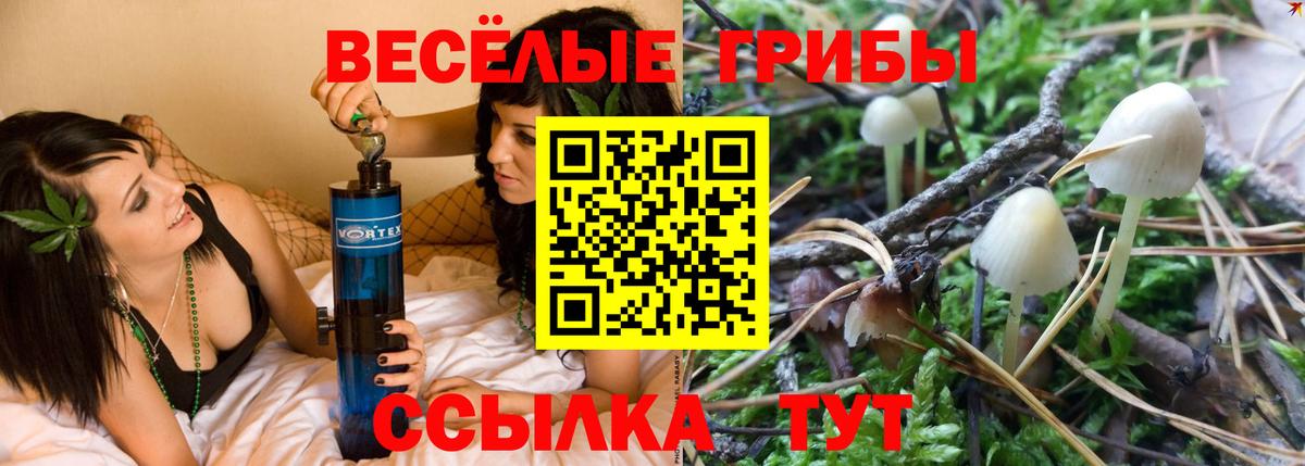 Галлюциногенные грибы мицелий  Вход с VPN  Тавда 