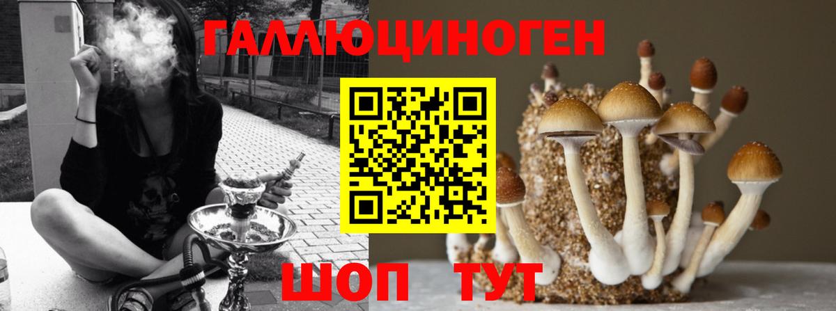 Псилоцибиновые грибы MAGIC MUSHROOMS  Тавда 